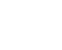 globe logo